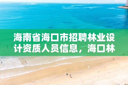 海南省海口市招聘林业设计资质人员信息,海口林业总公司