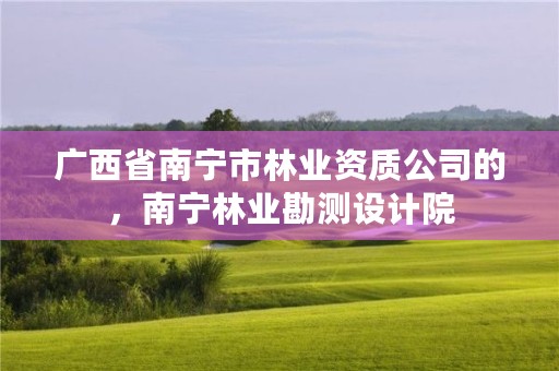 广西省南宁市林业资质公司的,南宁林业勘测设计院