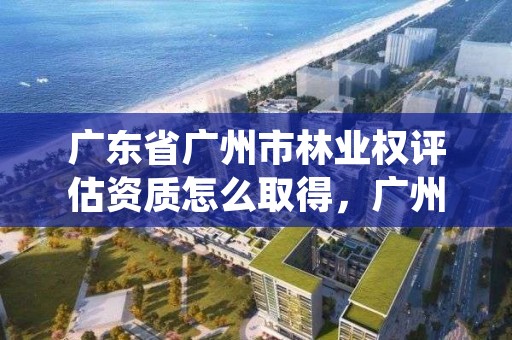 广东省广州市林业权评估资质怎么取得，广州林业厅