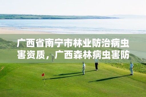 广西省南宁市林业防治病虫害资质,广西森林病虫害防治条例