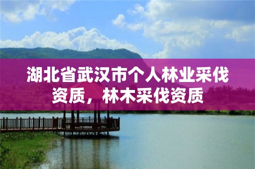 湖北省武汉市个人林业采伐资质,林木采伐资质