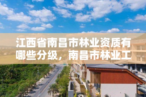 江西省南昌市林业资质有哪些分级,南昌市林业工业公司