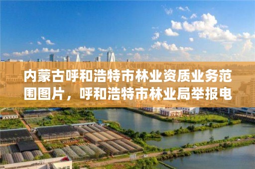 内蒙古呼和浩特市林业资质业务范围图片,呼和浩特市林业局举报电话
