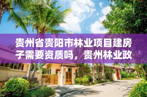 贵州省贵阳市林业项目建房子需要资质吗,贵州林业政策