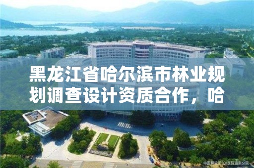 黑龙江省哈尔滨市林业规划调查设计资质合作,哈尔滨林业局官网