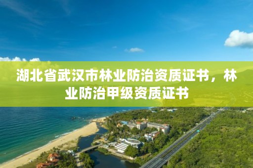 湖北省武汉市林业防治资质证书，林业防治甲级资质证书