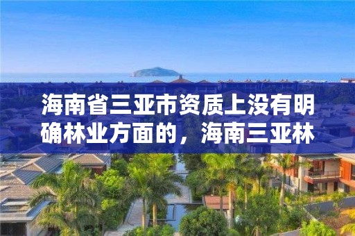 海南省三亚市资质上没有明确林业方面的,海南三亚林场