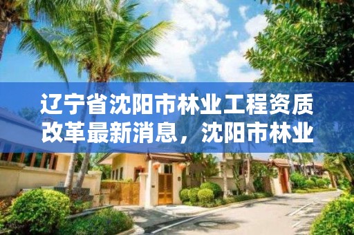 辽宁省沈阳市林业工程资质改革最新消息,沈阳市林业建设保护条例