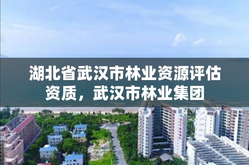 湖北省武汉市林业资源评估资质,武汉市林业集团