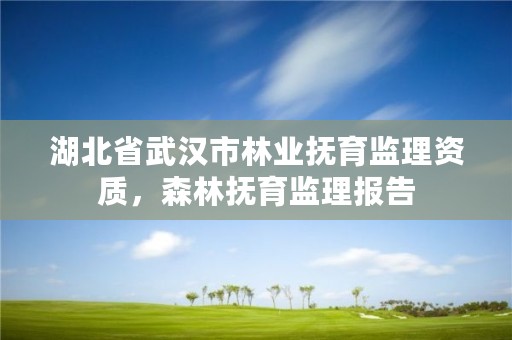 湖北省武汉市林业抚育监理资质,森林抚育监理报告