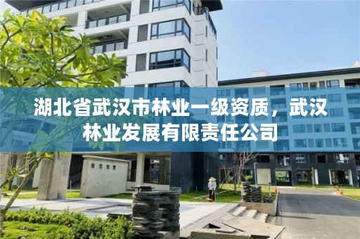 湖北省武汉市林业一级资质,武汉林业发展有限责任公司