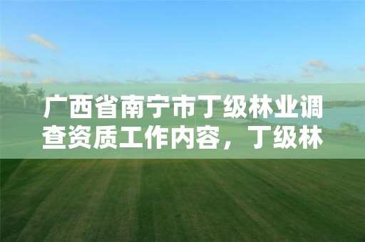 广西省南宁市丁级林业调查资质工作内容,丁级林业资质业务范围