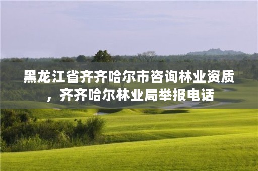 黑龙江省齐齐哈尔市咨询林业资质,齐齐哈尔林业局举报电话