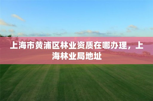 上海市黄浦区林业资质在哪办理,上海林业局地址