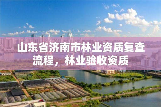 山东省济南市林业资质复查流程,林业验收资质