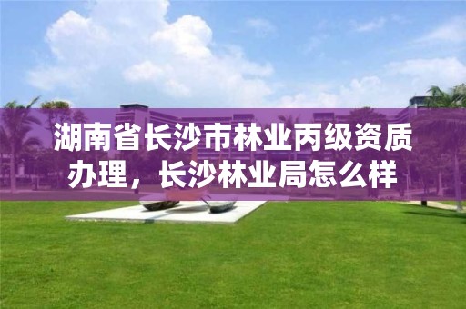 湖南省长沙市林业丙级资质办理,长沙林业局怎么样