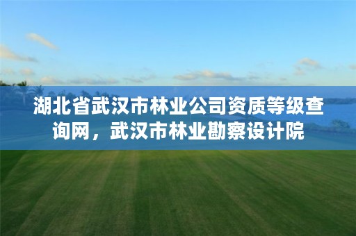 湖北省武汉市林业公司资质等级查询网,武汉市林业勘察设计院