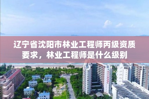辽宁省沈阳市林业工程师丙级资质要求,林业工程师是什么级别