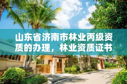 山东省济南市林业丙级资质的办理,林业资质证书丙级