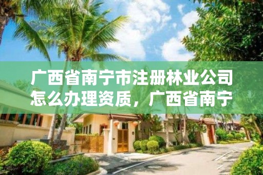 广西省南宁市注册林业公司怎么办理资质,广西省南宁市注册林业公司怎么办理资质证