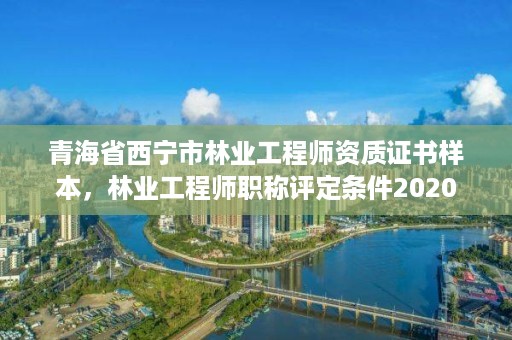 青海省西宁市林业工程师资质证书样本，林业工程师职称评定条件2020