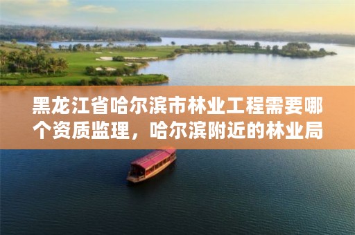 黑龙江省哈尔滨市林业工程需要哪个资质监理,哈尔滨附近的林业局