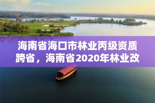 海南省海口市林业丙级资质跨省,海南省2020年林业改革发展资金用途