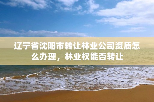 辽宁省沈阳市转让林业公司资质怎么办理,林业权能否转让
