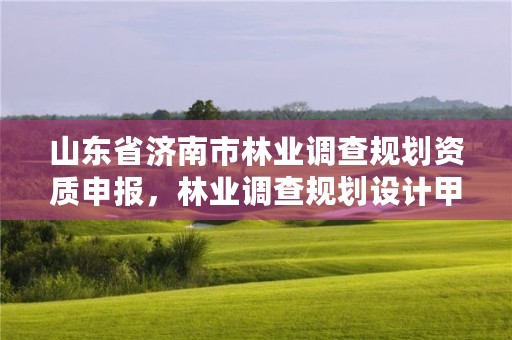 山东省济南市林业调查规划资质申报,林业调查规划设计甲级资质