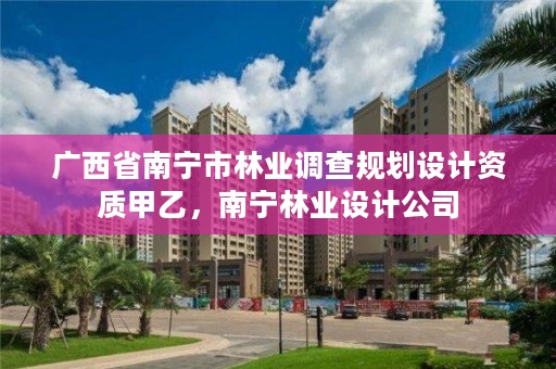 广西省南宁市林业调查规划设计资质甲乙,南宁林业设计公司