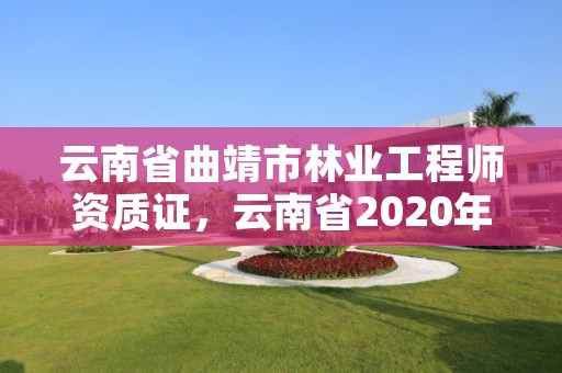 云南省曲靖市林业工程师资质证,云南省2020年林业高级工程师评审条件