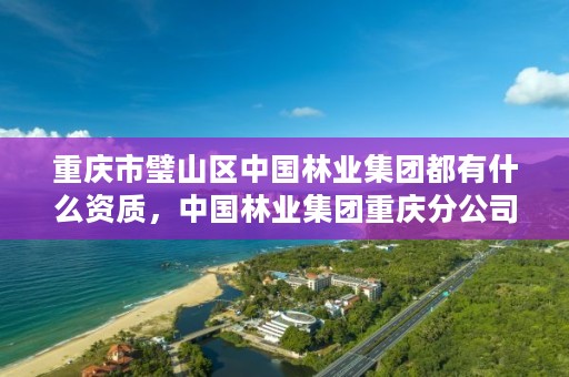 重庆市璧山区中国林业集团都有什么资质,中国林业集团重庆分公司招聘