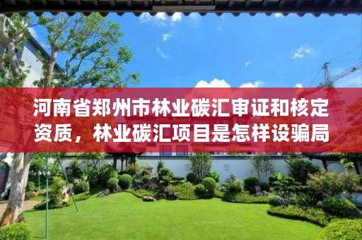 河南省郑州市林业碳汇审证和核定资质,林业碳汇项目是怎样设骗局的