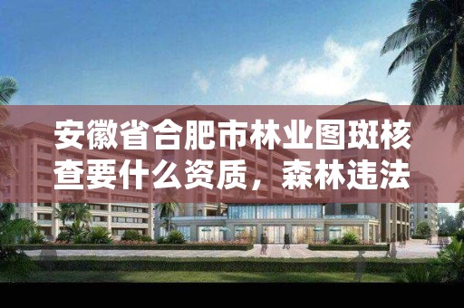 安徽省合肥市林业图斑核查要什么资质，森林违法图斑核查工作报告