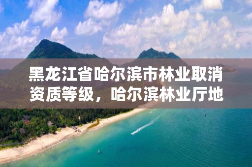 黑龙江省哈尔滨市林业取消资质等级,哈尔滨林业厅地址