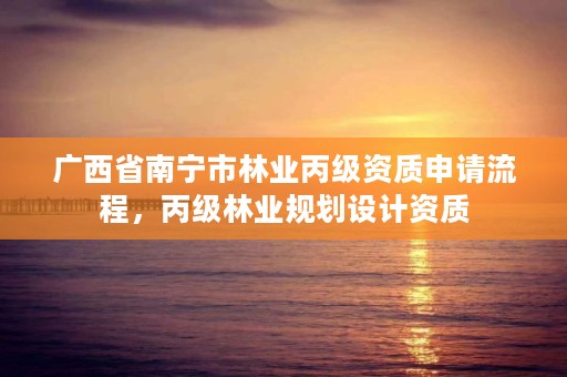广西省南宁市林业丙级资质申请流程,丙级林业规划设计资质