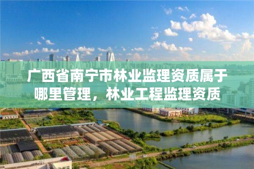 广西省南宁市林业监理资质属于哪里管理,林业工程监理资质