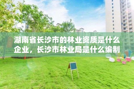 湖南省长沙市的林业资质是什么企业,长沙市林业局是什么编制