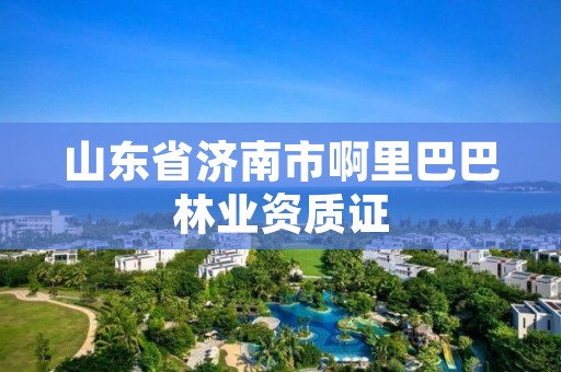 山东省济南市啊里巴巴林业资质证