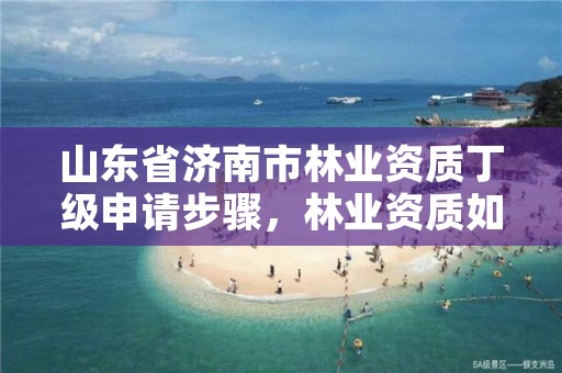 山东省济南市林业资质丁级申请步骤，林业资质如何申请办理