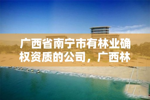 广西省南宁市有林业确权资质的公司,广西林权证确权登记办法