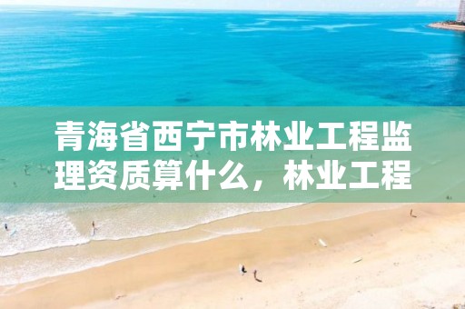 青海省西宁市林业工程监理资质算什么，林业工程监理资质证书