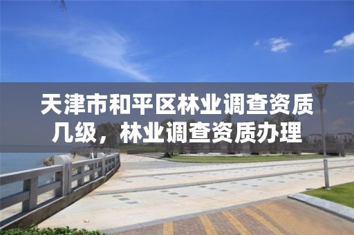 天津市和平区林业调查资质几级，林业调查资质办理