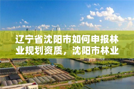 辽宁省沈阳市如何申报林业规划资质，沈阳市林业生态建设工作方案