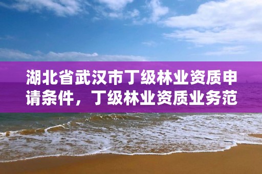 湖北省武汉市丁级林业资质申请条件，丁级林业资质业务范围
