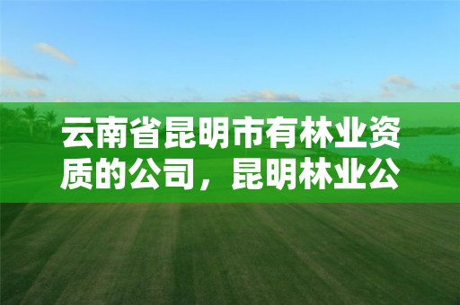云南省昆明市有林业资质的公司，昆明林业公司有哪些