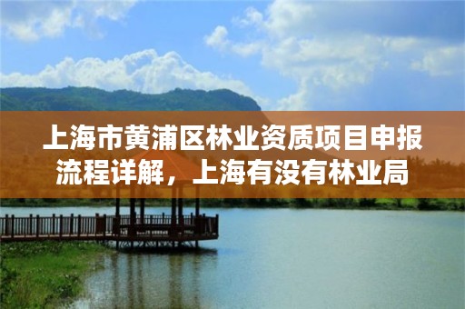 上海市黄浦区林业资质项目申报流程详解,上海有没有林业局