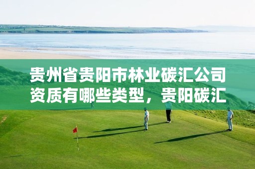 贵州省贵阳市林业碳汇公司资质有哪些类型,贵阳碳汇交易