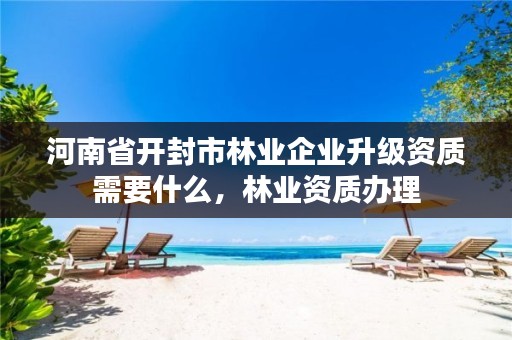 河南省开封市林业企业升级资质需要什么,林业资质办理