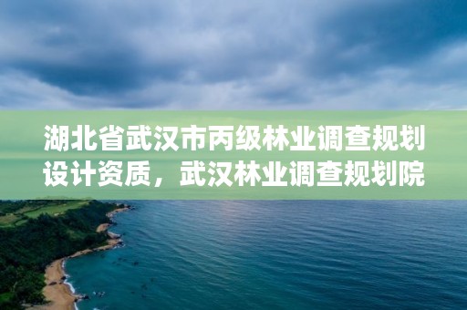 湖北省武汉市丙级林业调查规划设计资质,武汉林业调查规划院